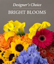 Bright Blooms Mix - Designer's Choice