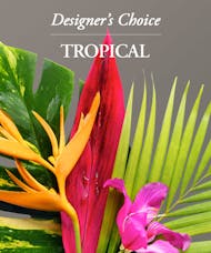 Tropical Arrangement - Designer's Choice